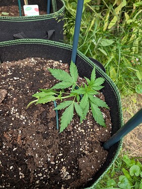 PXL_20250622_150444984