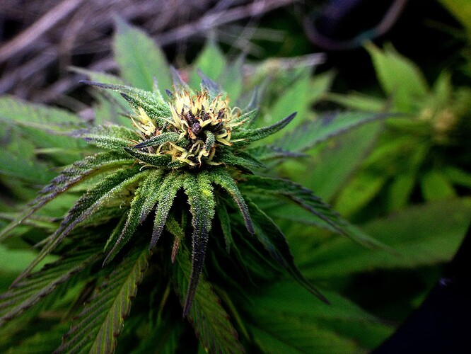 Growreport Bild 6