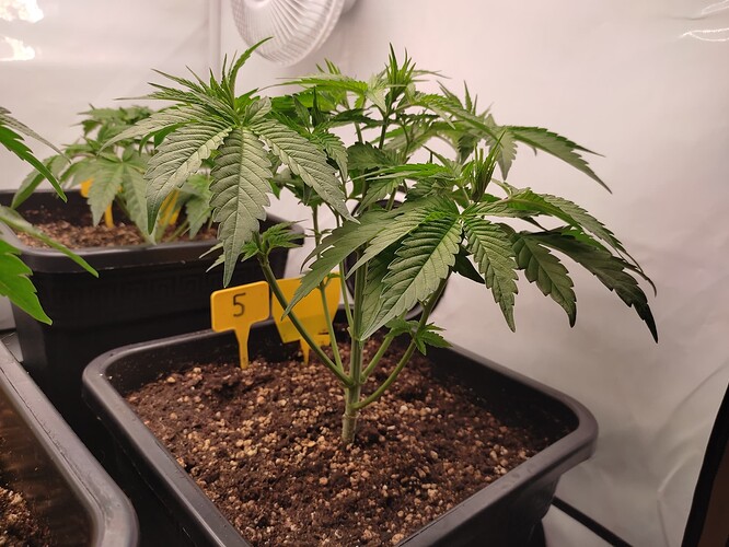Growreport Bild 28