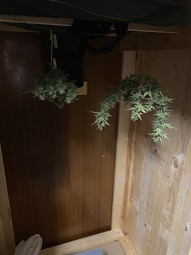 Growreport Bild 55