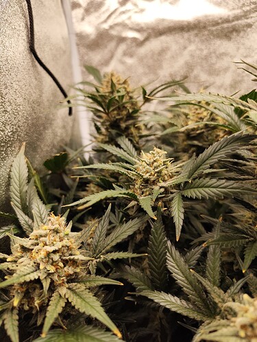 Growreport Bild 10