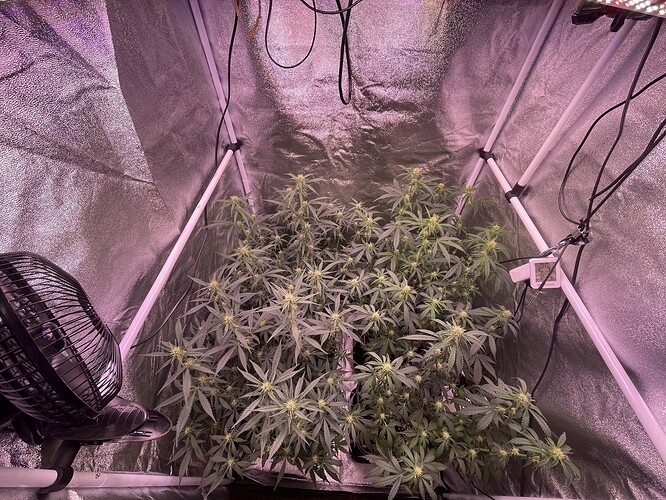 Growreport Bild 14