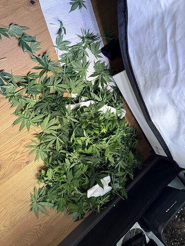 Growreport Bild 33