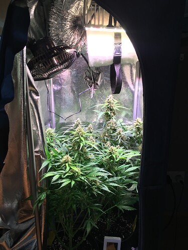 Growreport Bild 6