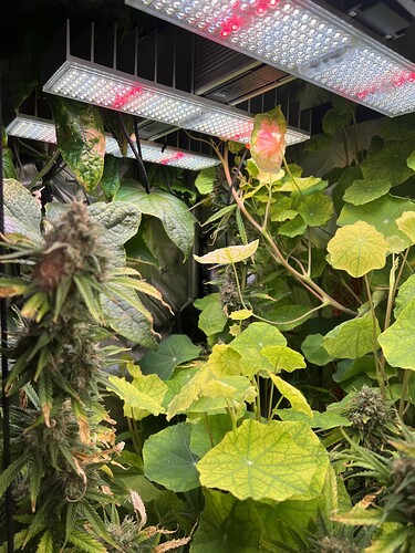 Growreport Bild 8