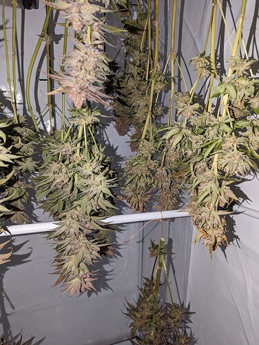 Growreport Bild 6