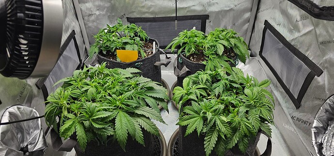 Growreport Bild 8