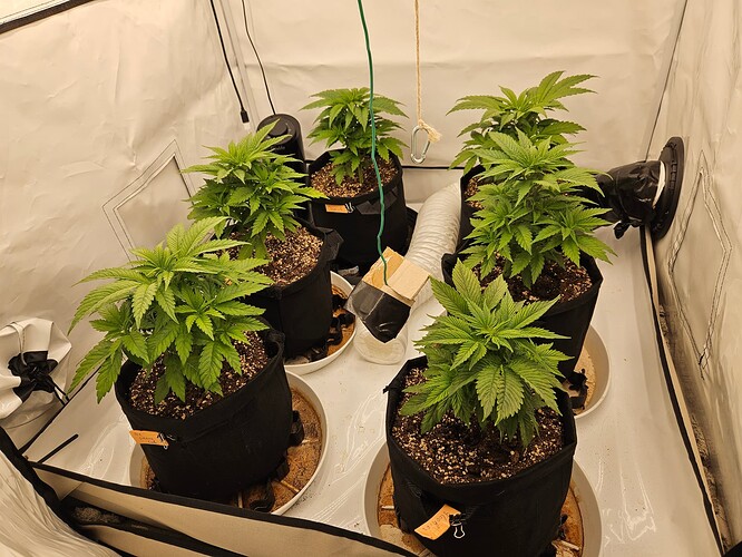 Growreport Bild 1