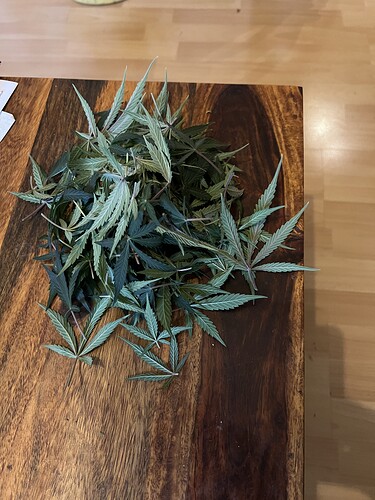 Growreport Bild 14
