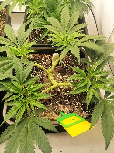 Growreport Bild 10