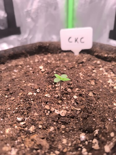 Growreport Bild 46
