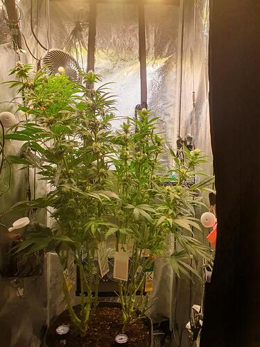 Growreport Bild 2