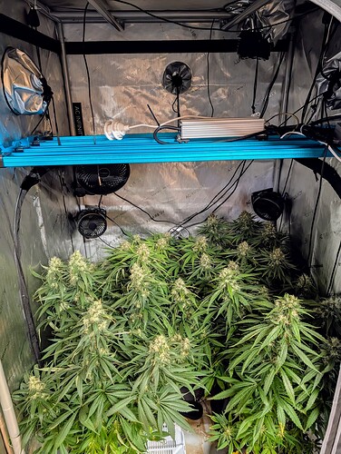 Growreport Bild 1