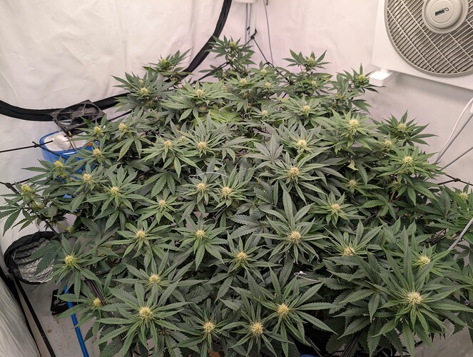 PXL_20250729_150609738.RAW-01.COVER