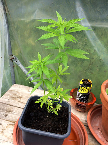 Grow26_0727_01