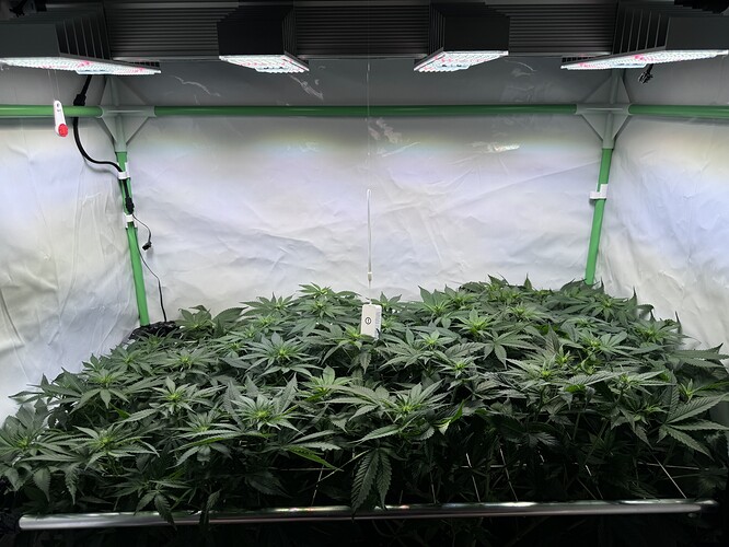 Growreport Bild 9