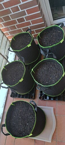 Growreport Bild 59