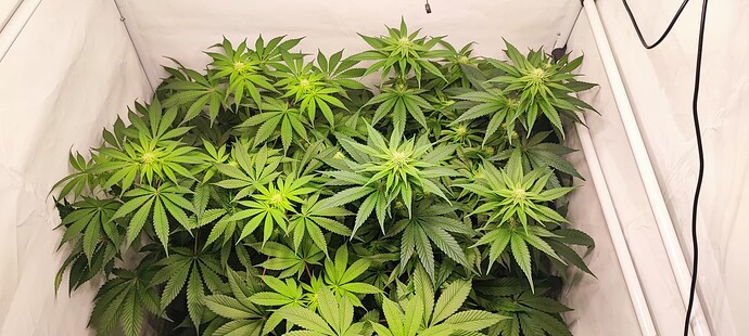 Growreport Bild 10
