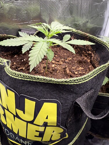 Growreport Bild 3