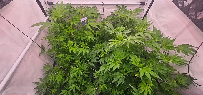 Growreport Bild 14