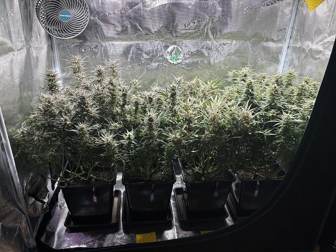 Growreport Bild 7