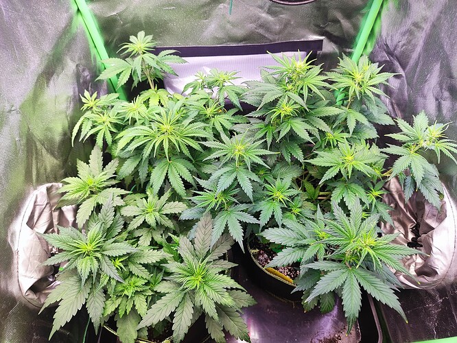 Growreport Bild 10