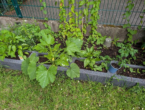 PXL_20250609_170653747