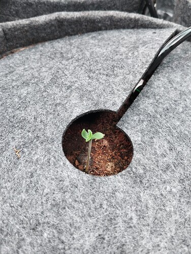 Growreport Bild 15
