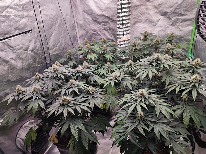Growreport Bild 10