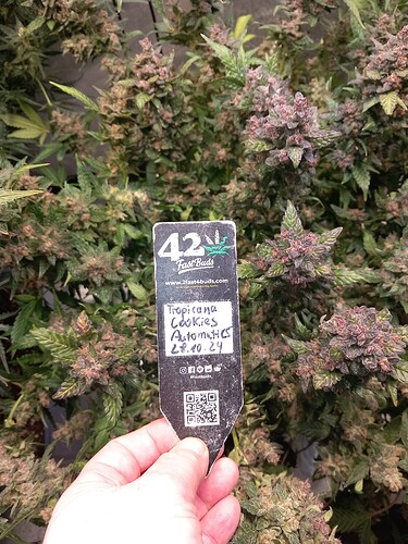 Growreport Bild 3