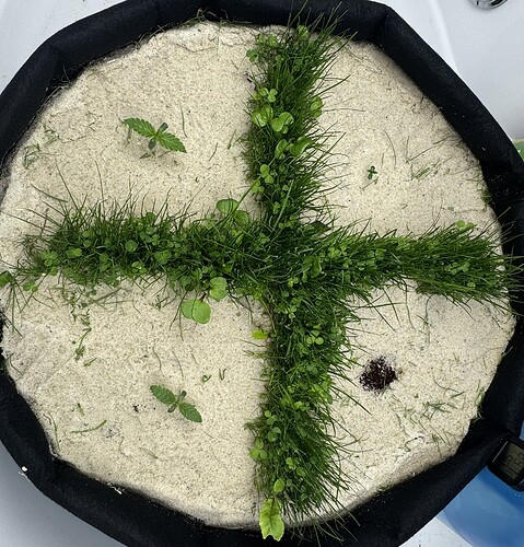 Growreport Bild 7