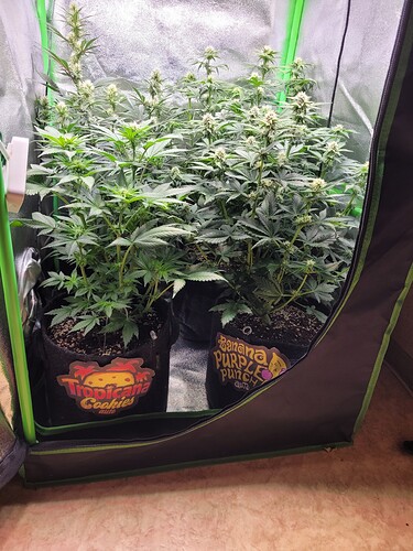 Growreport Bild 8