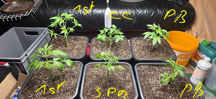 Growreport Bild 15