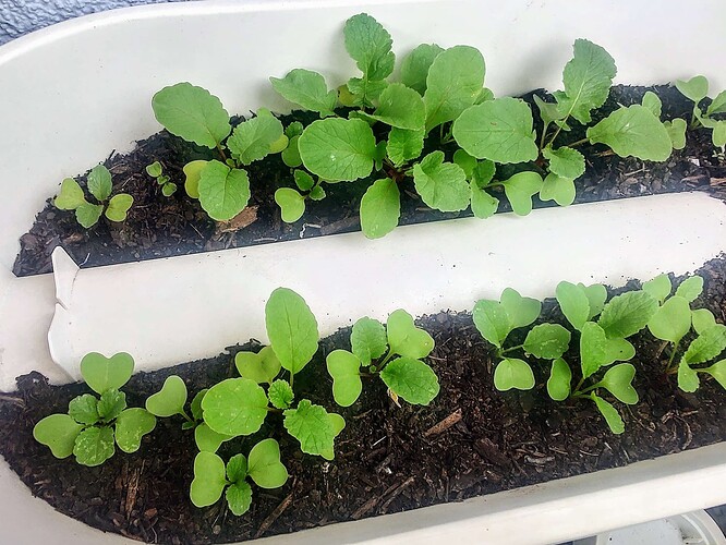Growreport Bild 12