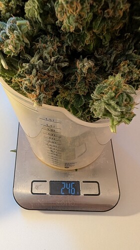 Growreport Bild 12