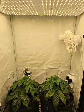Growreport Bild 2