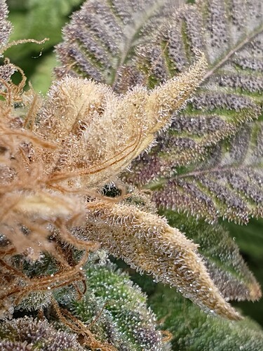 Growreport Bild 16
