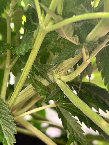 Growreport Bild 16