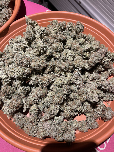 Growreport Bild 8