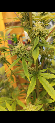 Screenshot_2026-02-22-20-02-50-241_com.miui.gallery