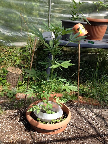 Growreport Bild 28