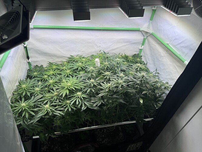 Growreport Bild 6