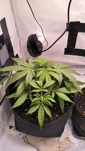 Growreport Bild 8