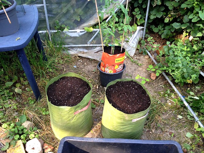 Growreport Bild 44