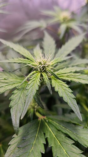 Growreport Bild 20
