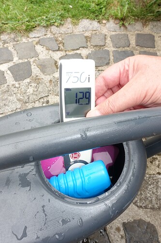 Growreport Bild 7