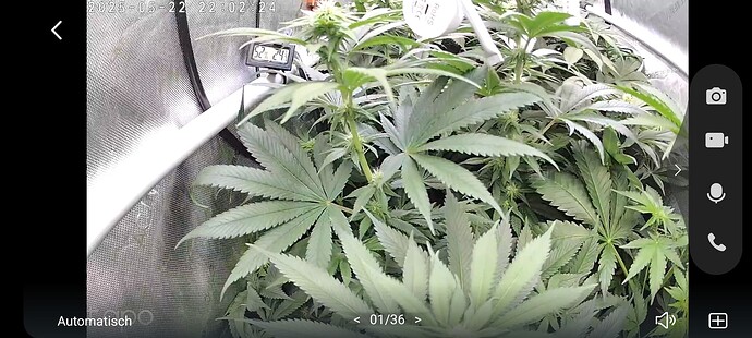 Growreport Bild 2