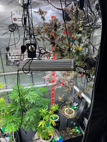 Growreport Bild 10