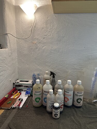 Growreport Bild 1