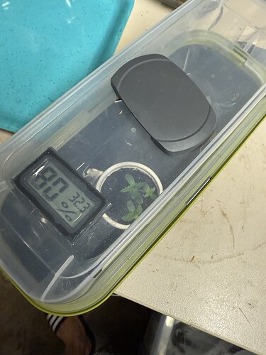 Growreport Bild 38